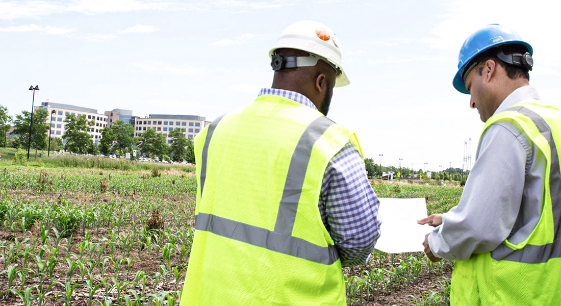 Two engineers looking at a paper in a field